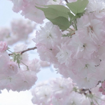 Furry插画故事感营造Furry群